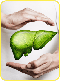 moringa-magic-bonus-3